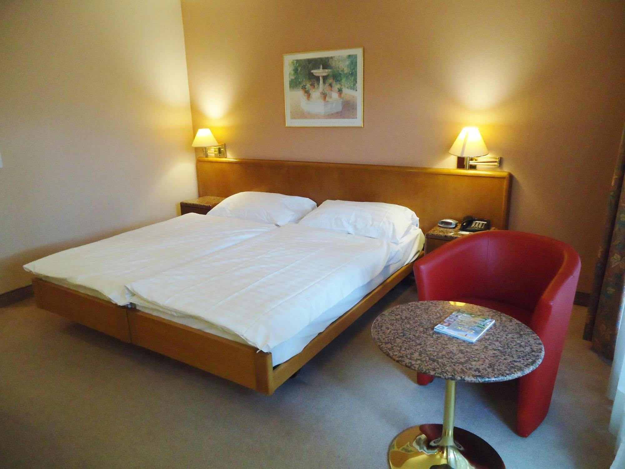 Hotel Le Cedre Bex Номер фото